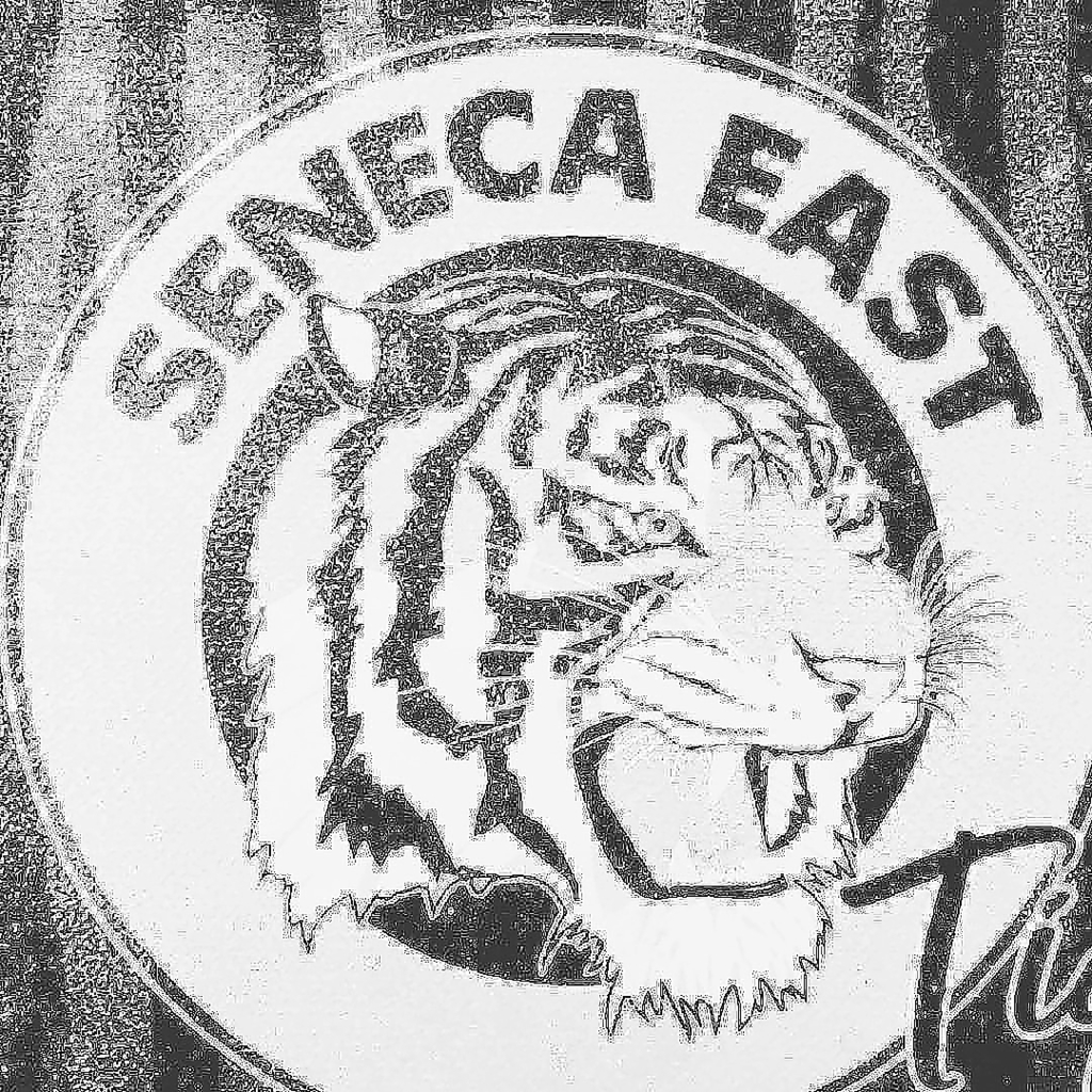 district tiger logo