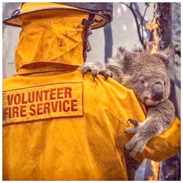 fire rescue photo